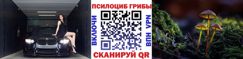 Псилоцибиновые грибы мицелий  MEGA как войти  Анадырь  купить закладку 